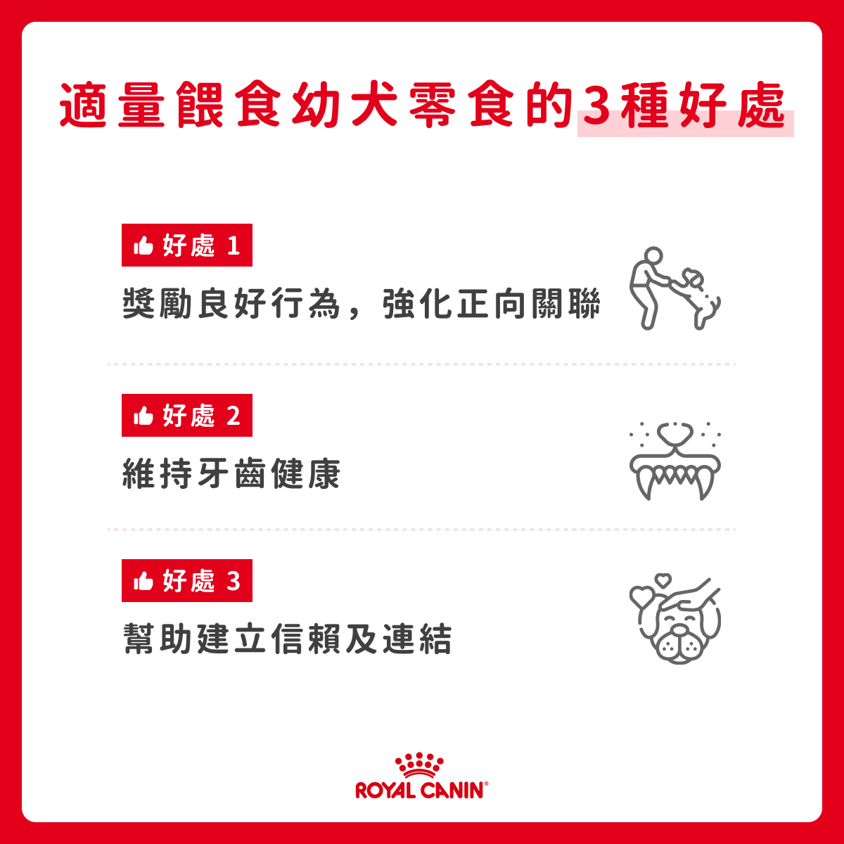 適時餵食幼犬零食，有助達成這 3 項目的