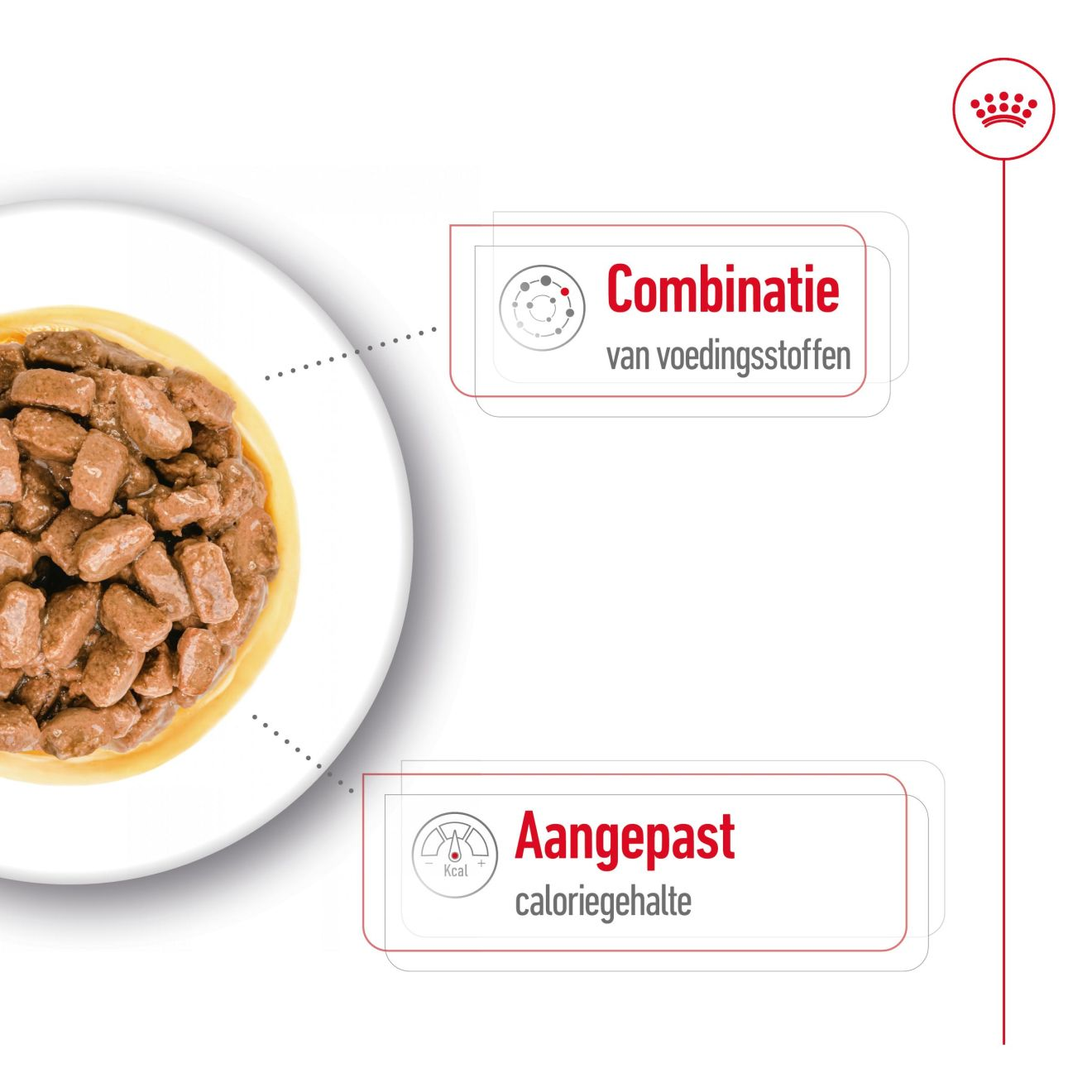 Mini Ageing in Gravy (brokjes in saus)