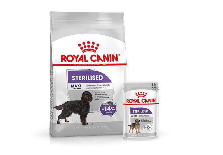 CCN Sterilised Packshot