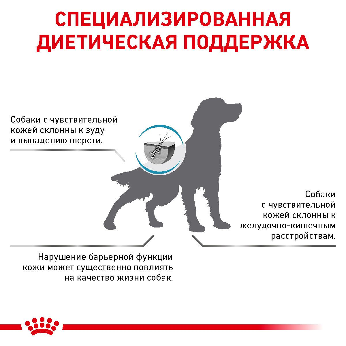 Skin Support