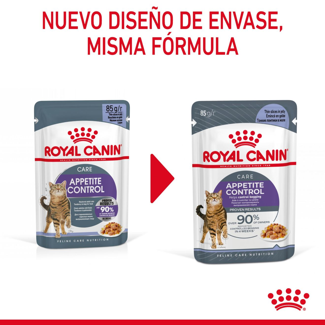 Appetite Control Care Finas láminas en gelatina