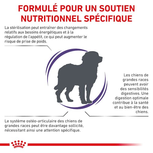 Neutered Adult Large Dogs - Aliment vétérinaire pour chien