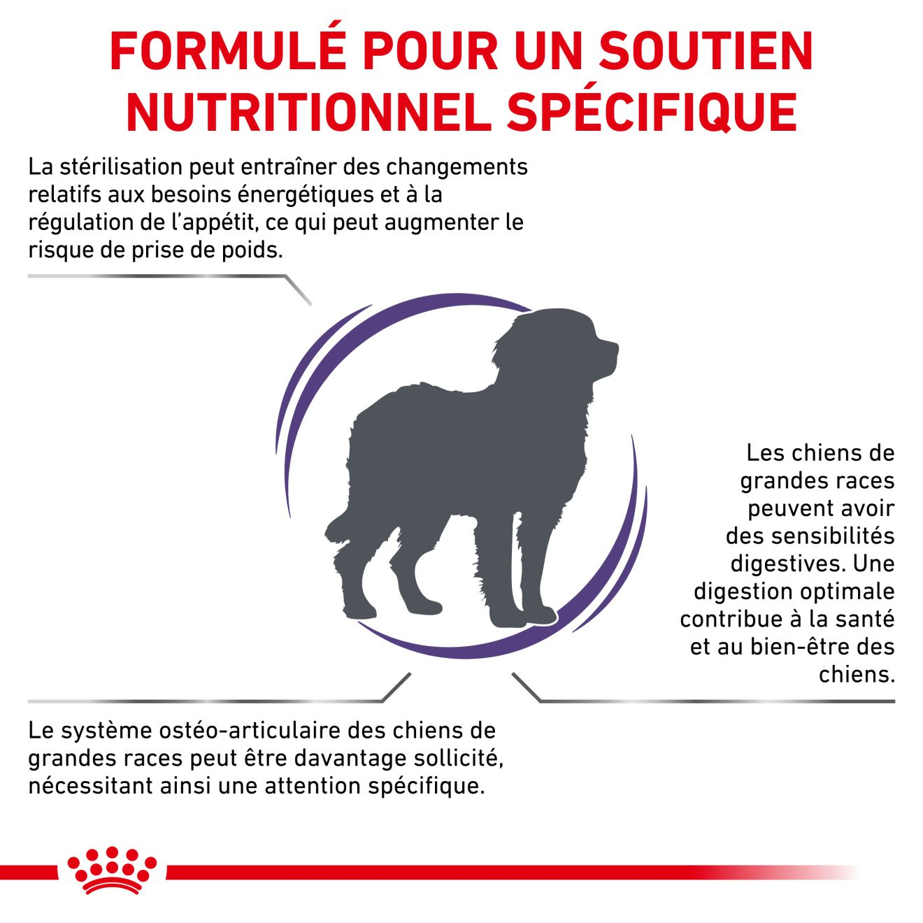 Neutered Adult Large Dogs - Aliment vétérinaire pour chien