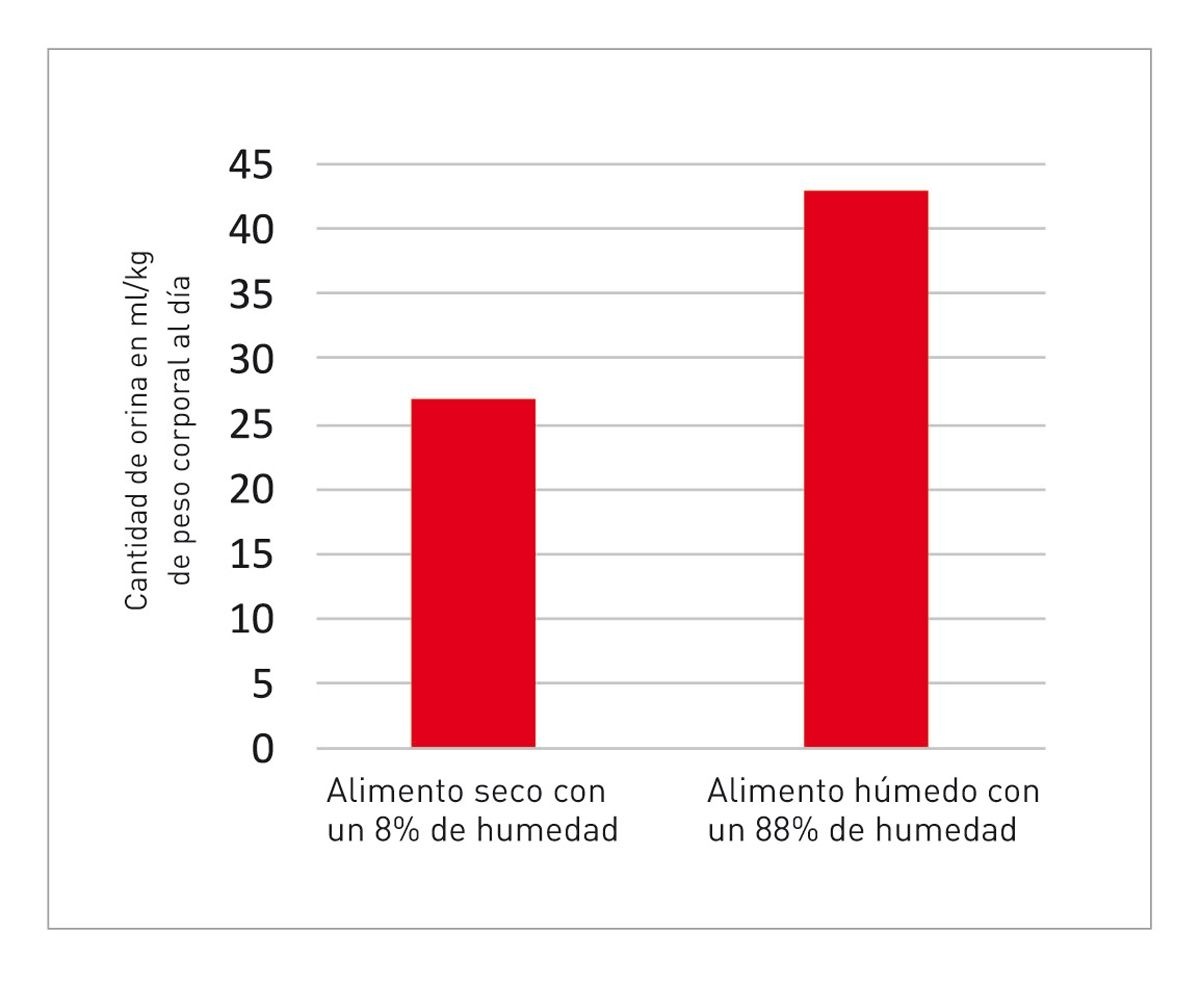 Volumen de orina en gatos que reciben alimentos secos o alimentos húmedos (8).