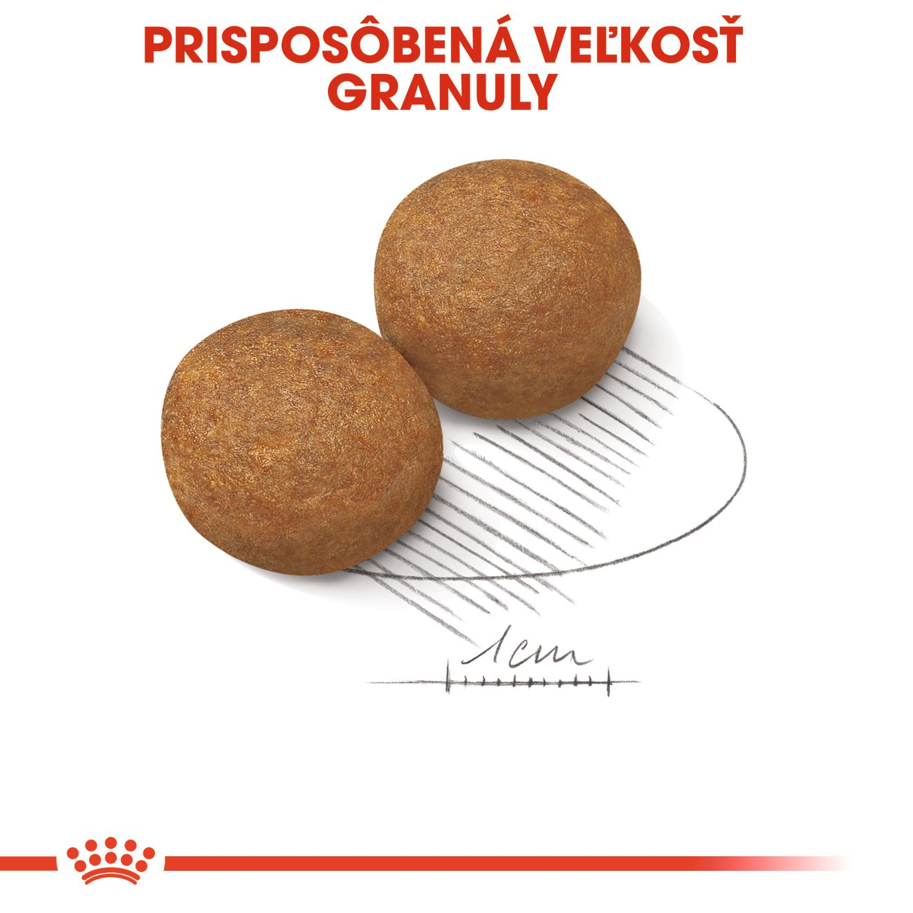 ROYAL CANIN Maxi Adult granule pre dospelých psov veľkých plemien