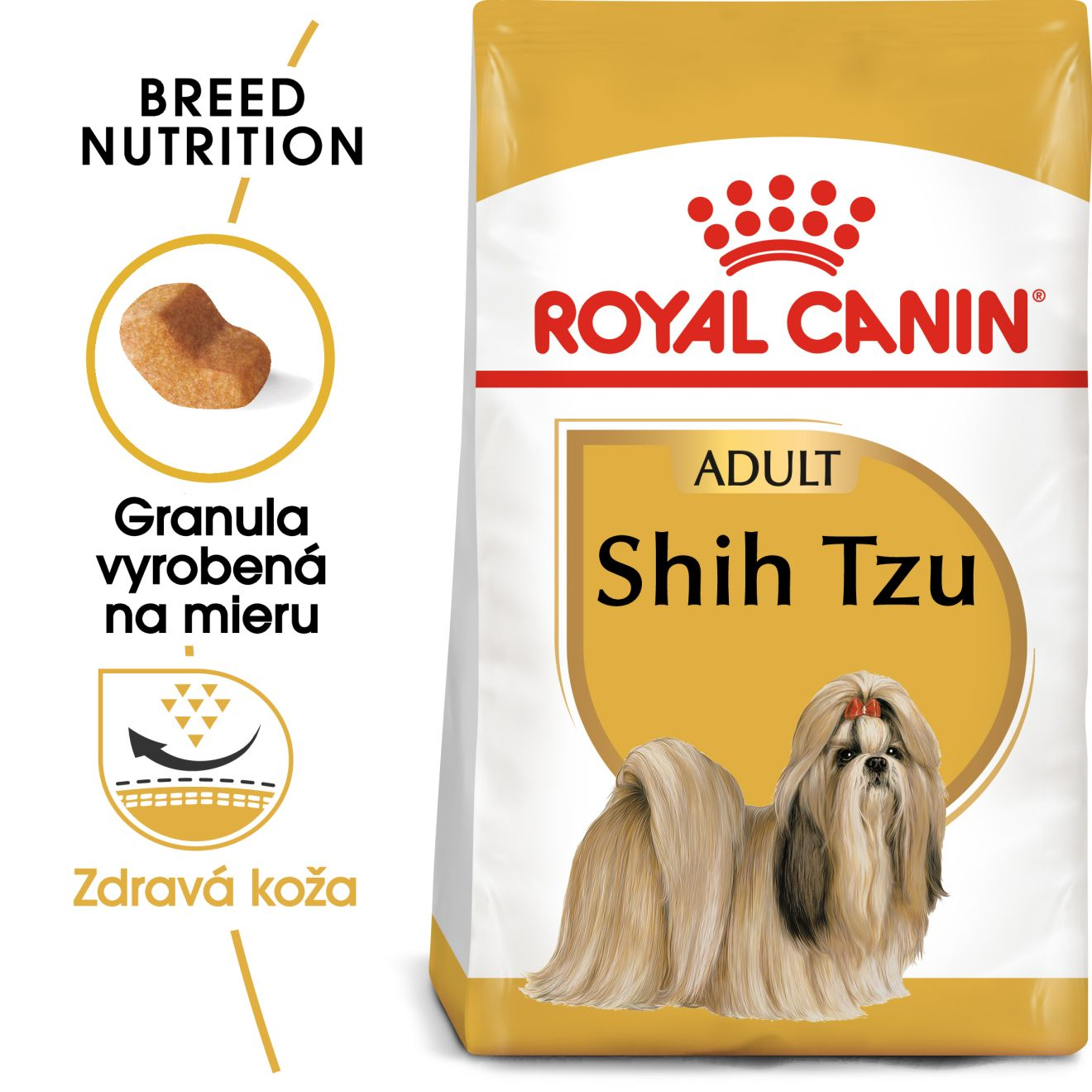 SHIH TZU Adult