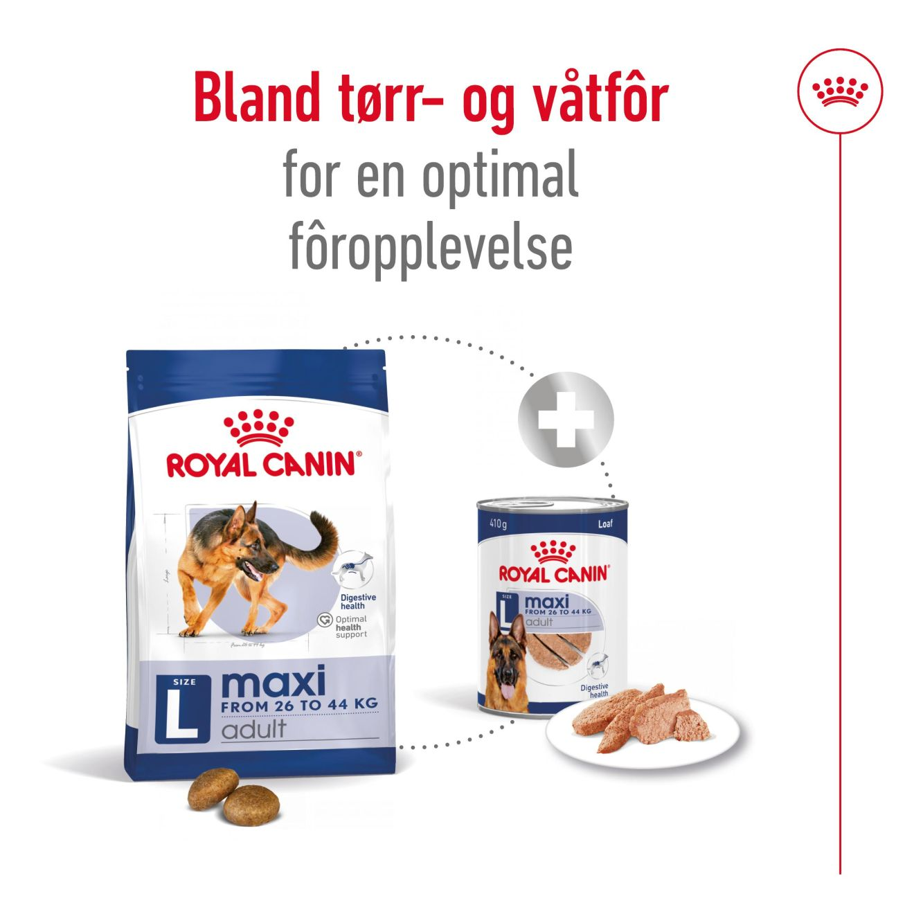 Maxi Adult