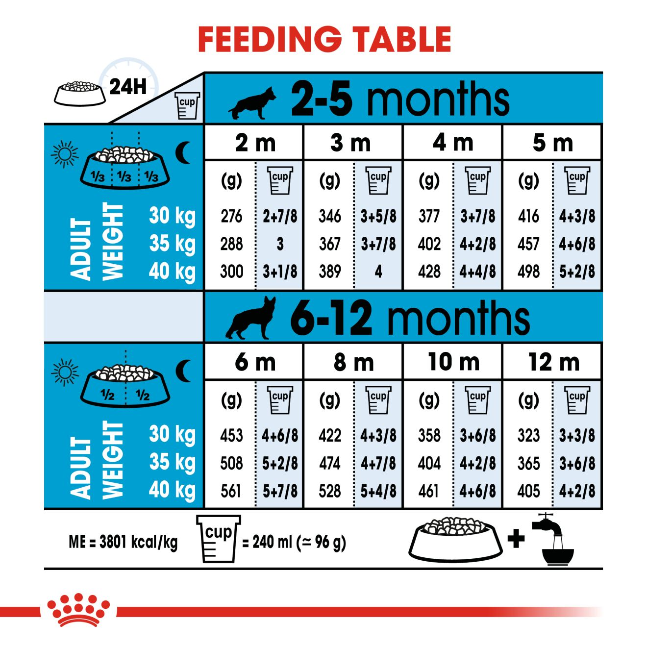 royal canin maxi puppy feeding chart