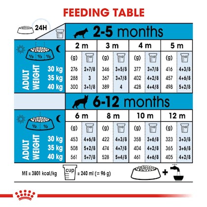 Royal canin dog on sale food serving size