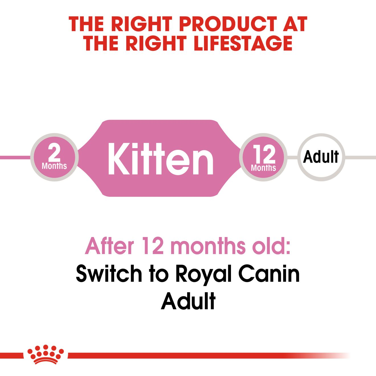 Kitten second outlet age royal canin