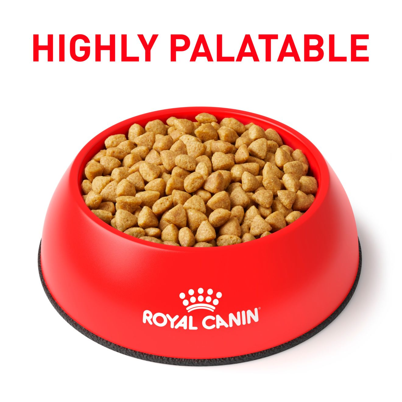 Royal canin pv dog hot sale food