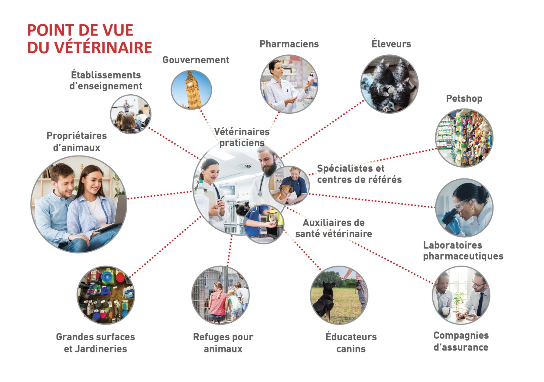 Les différents intervenants considérés du point de vue du vétérinaire