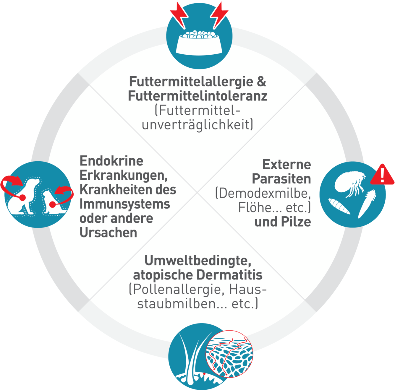 hautprobleme-hund-katze