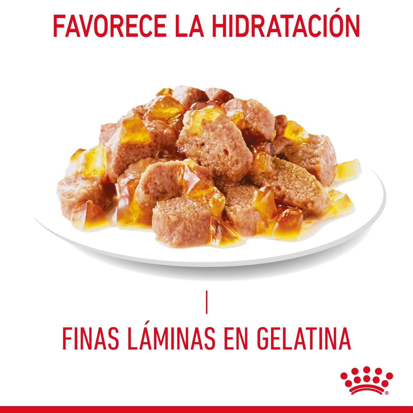 Hair & Skin Finas láminas en gelatina