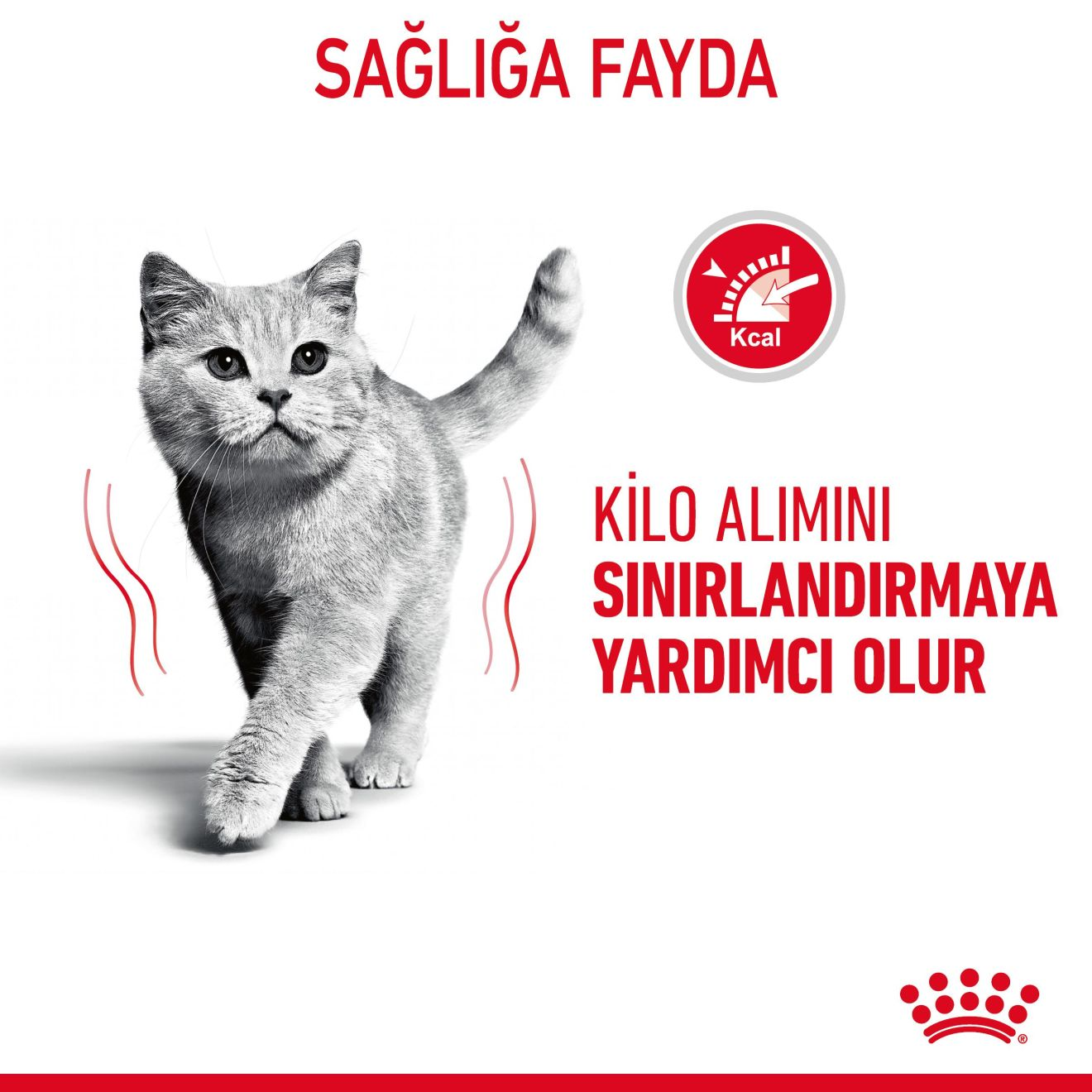 Light Weight Care Yetişkin Kedi Kuru Maması