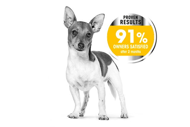 Emblematic and claim ccn dermacomfort