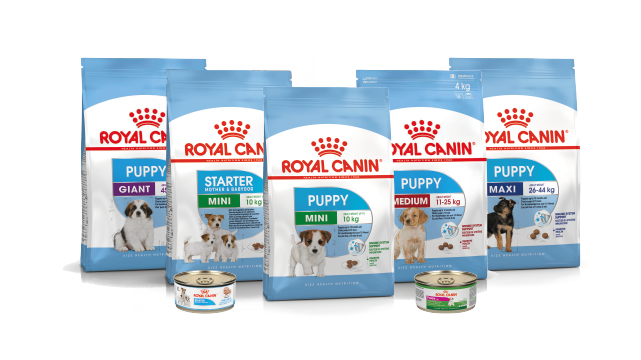 Royal Canin alimento para cachorros