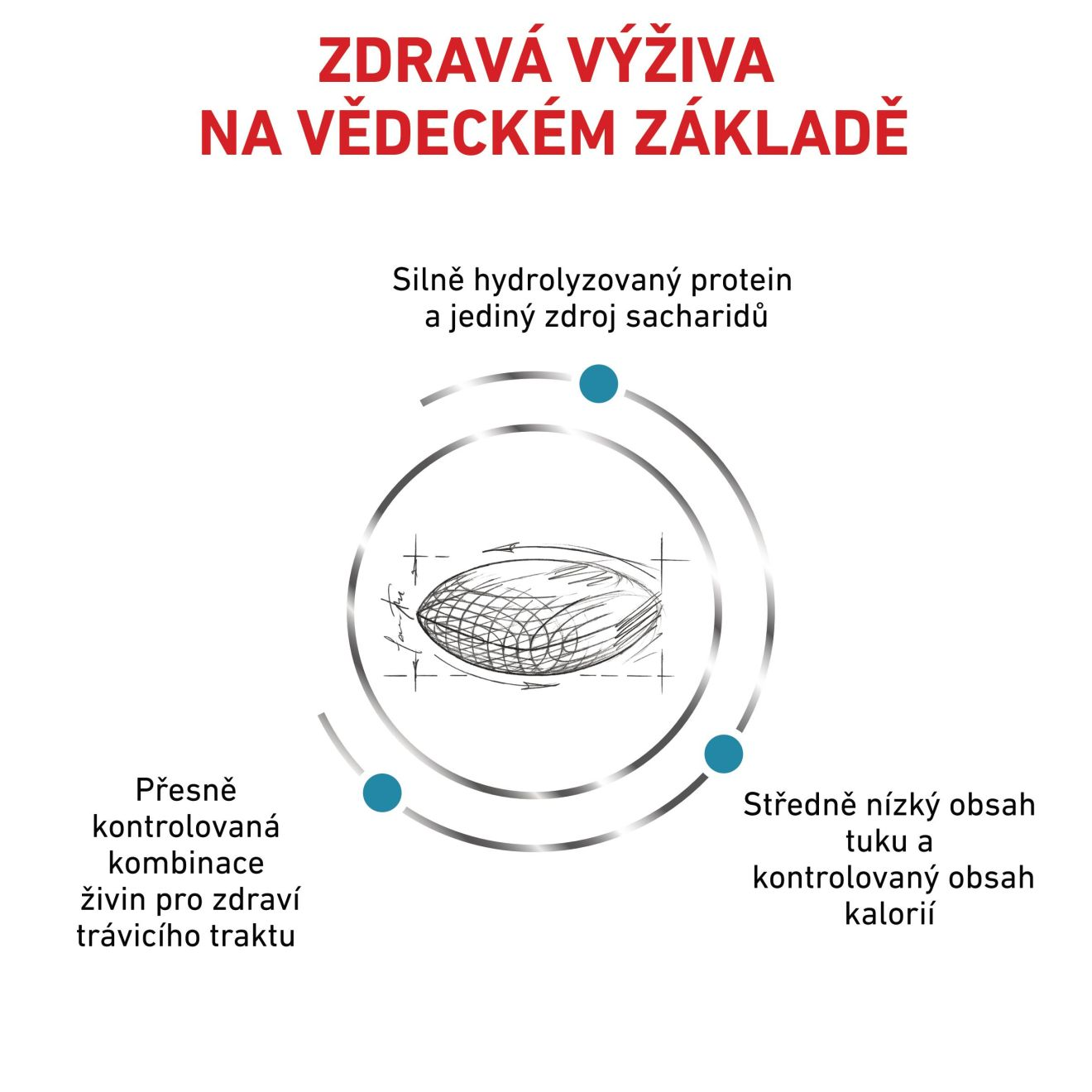 VHN Dog Hypoallergenic Moderate Calorie