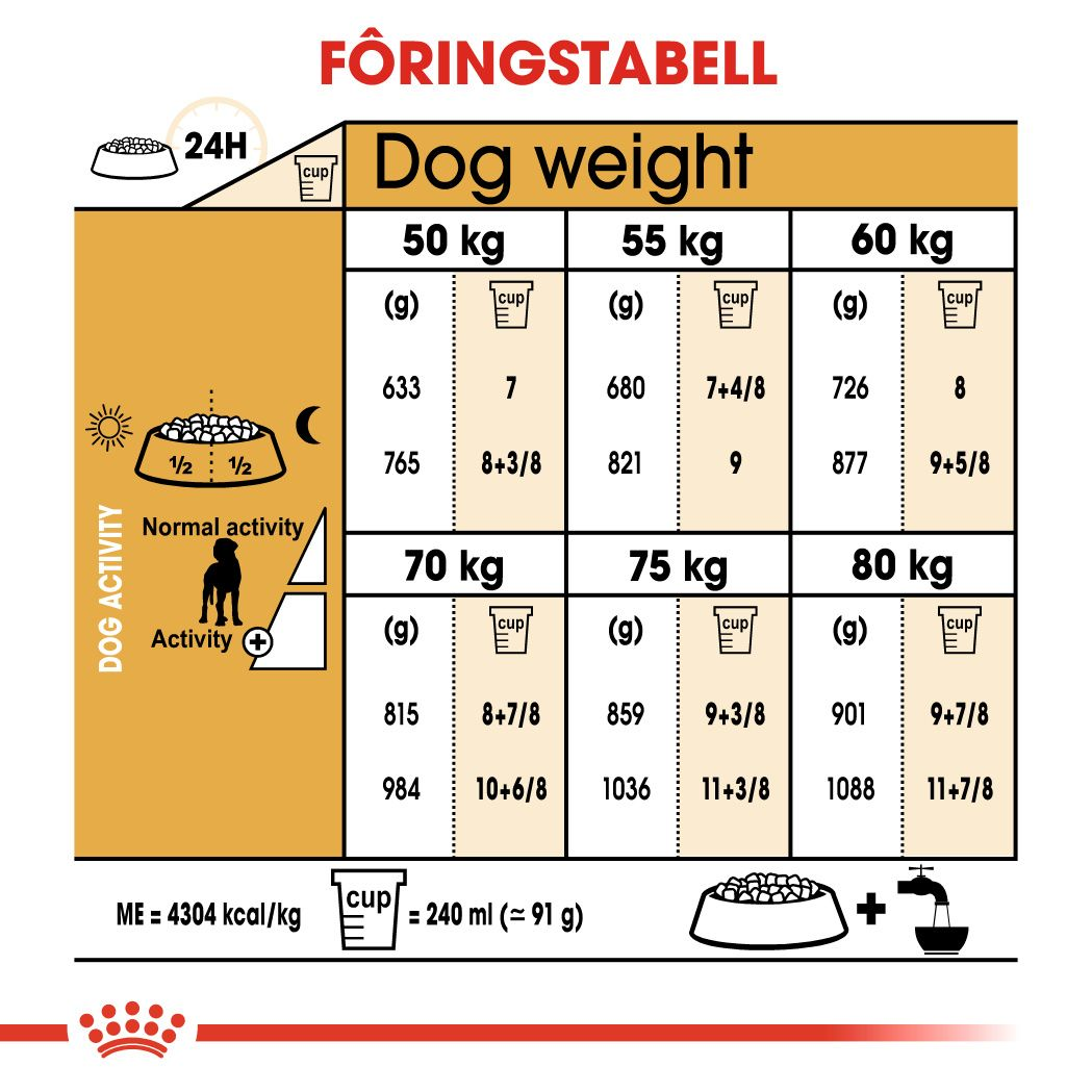 Great Dane Adult