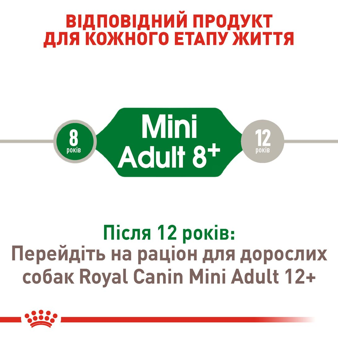 Mini Adult 8+
