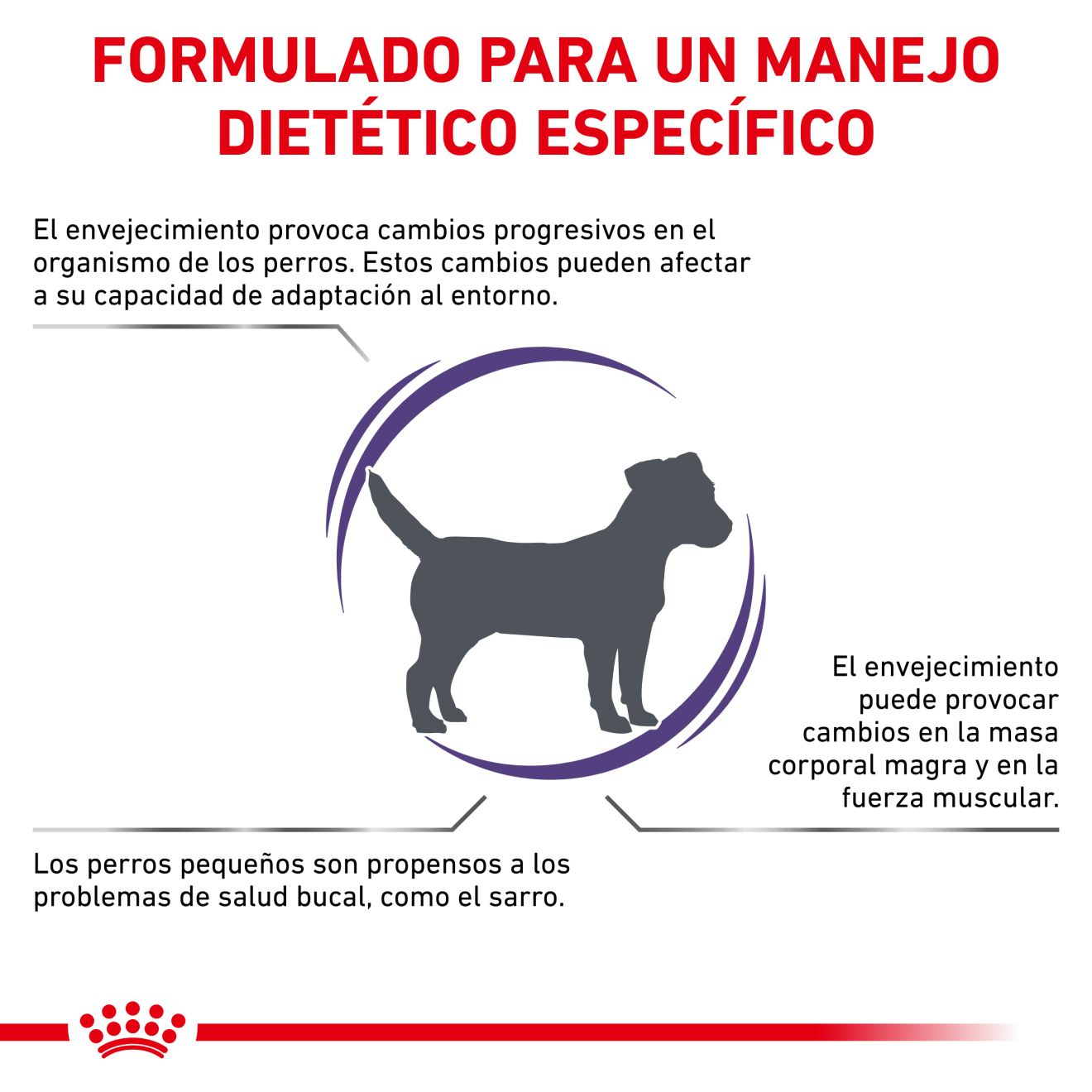 Mature Consult Small Dog