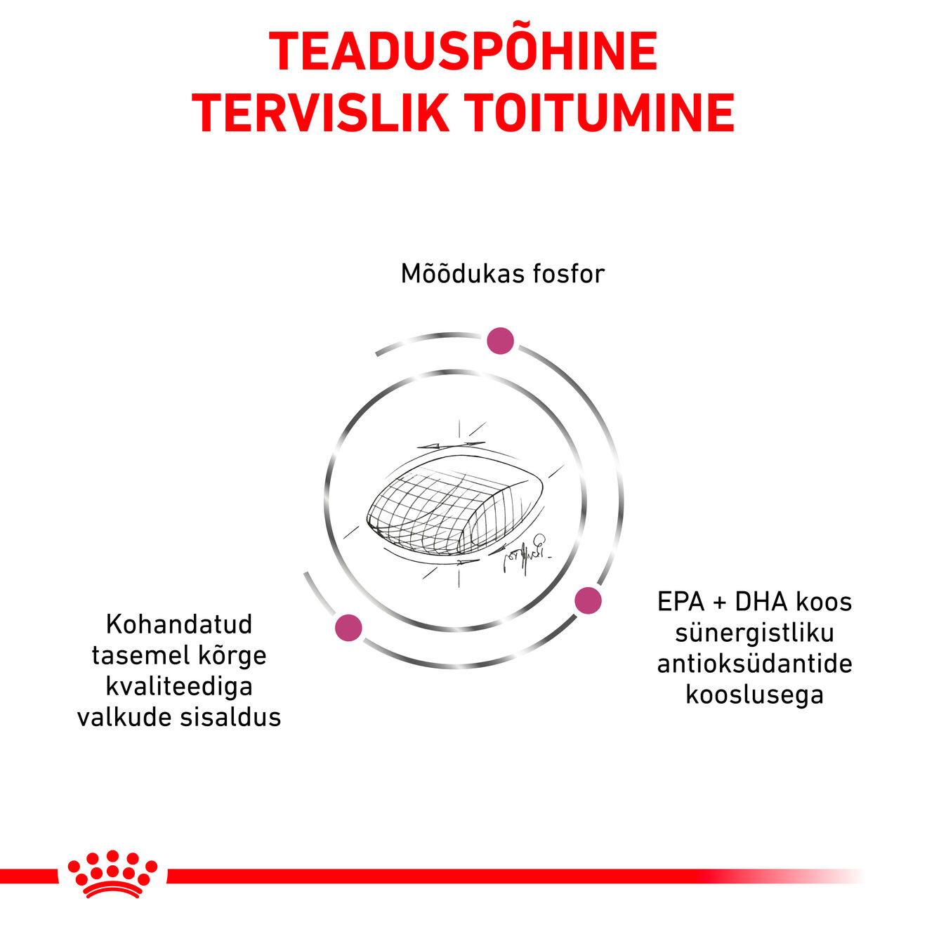 Royal Canin Early Renal Dog kuivtoit