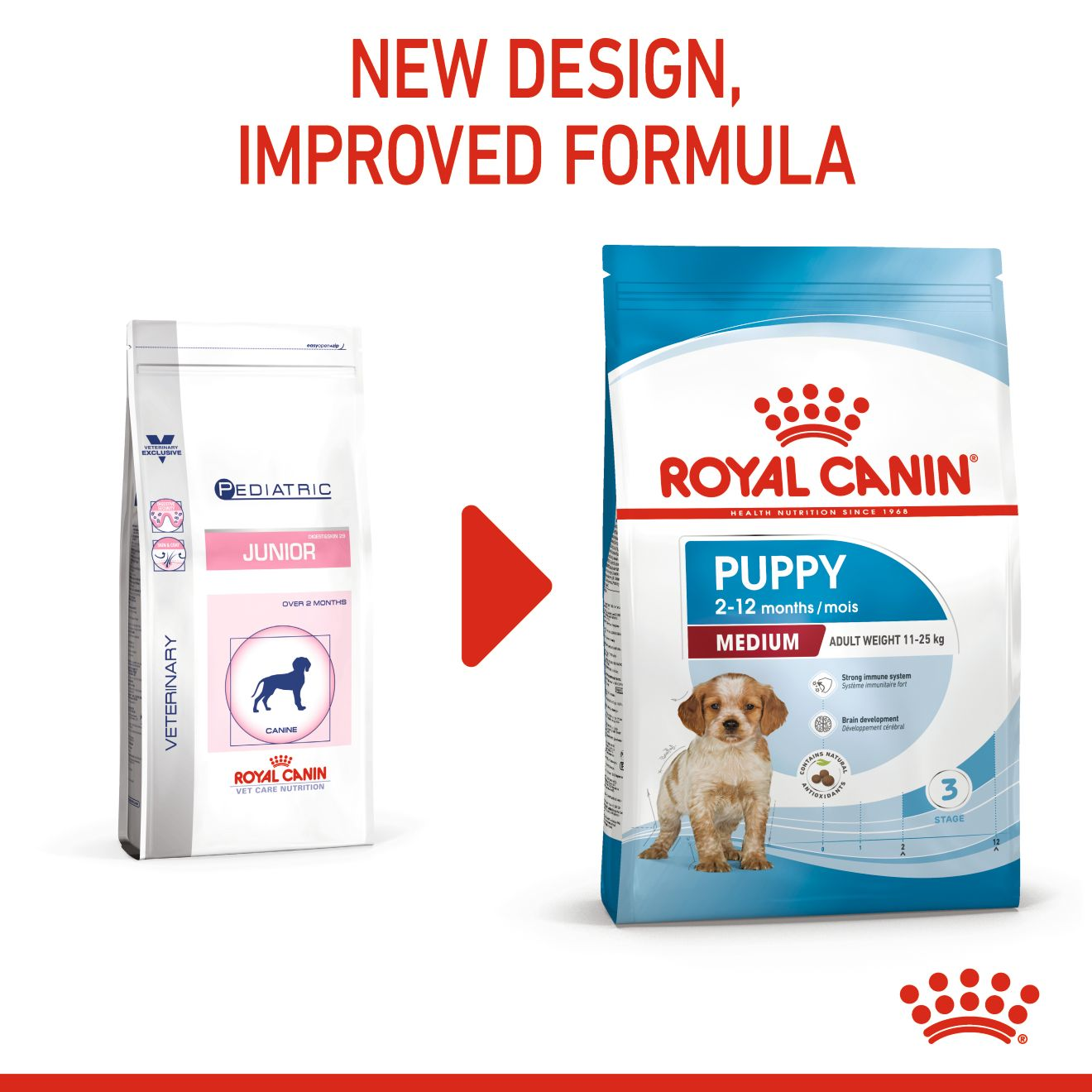Medium Puppy Dry Dog Food Royal Canin US