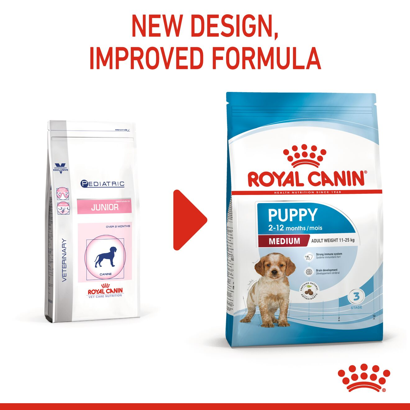 Royal Canin Recovery Pets At Home