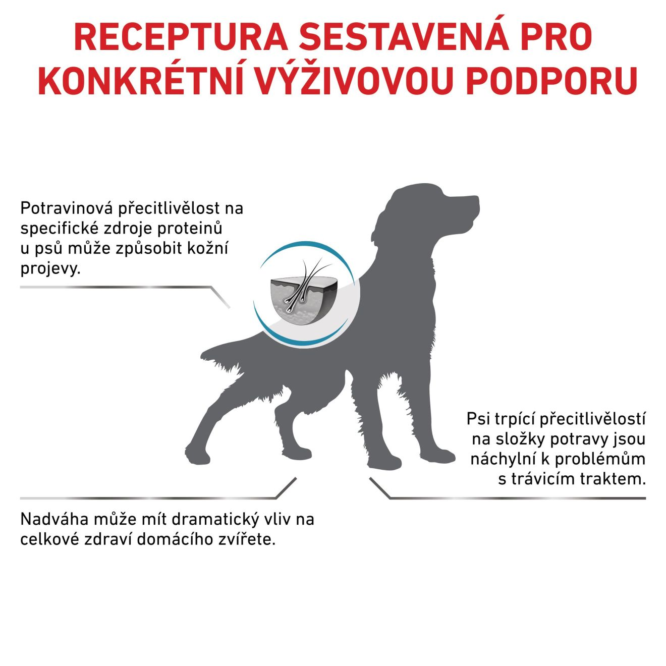 VHN Dog Hypoallergenic Moderate Calorie