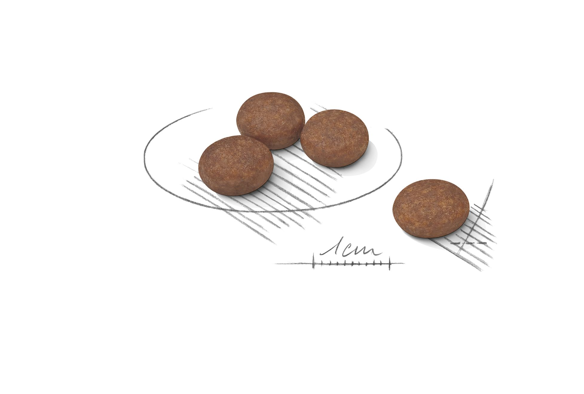 royal canin digestive care 10kg