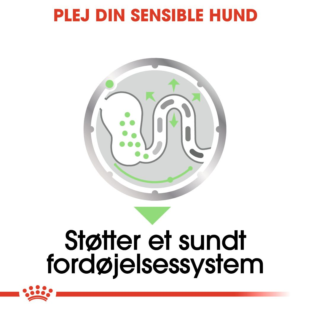 Digestive Care Adult Loaf