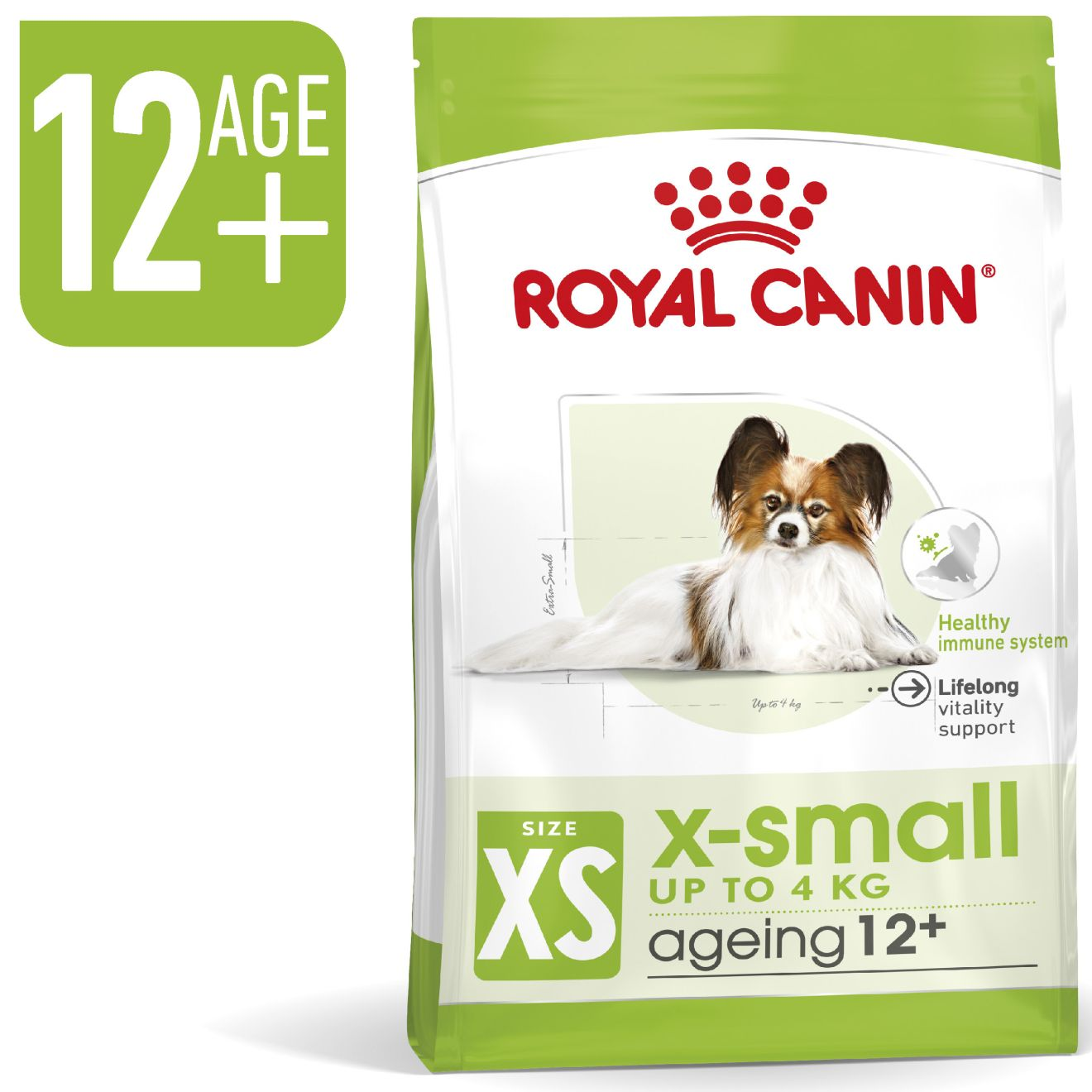  X-Small Ageing 12+