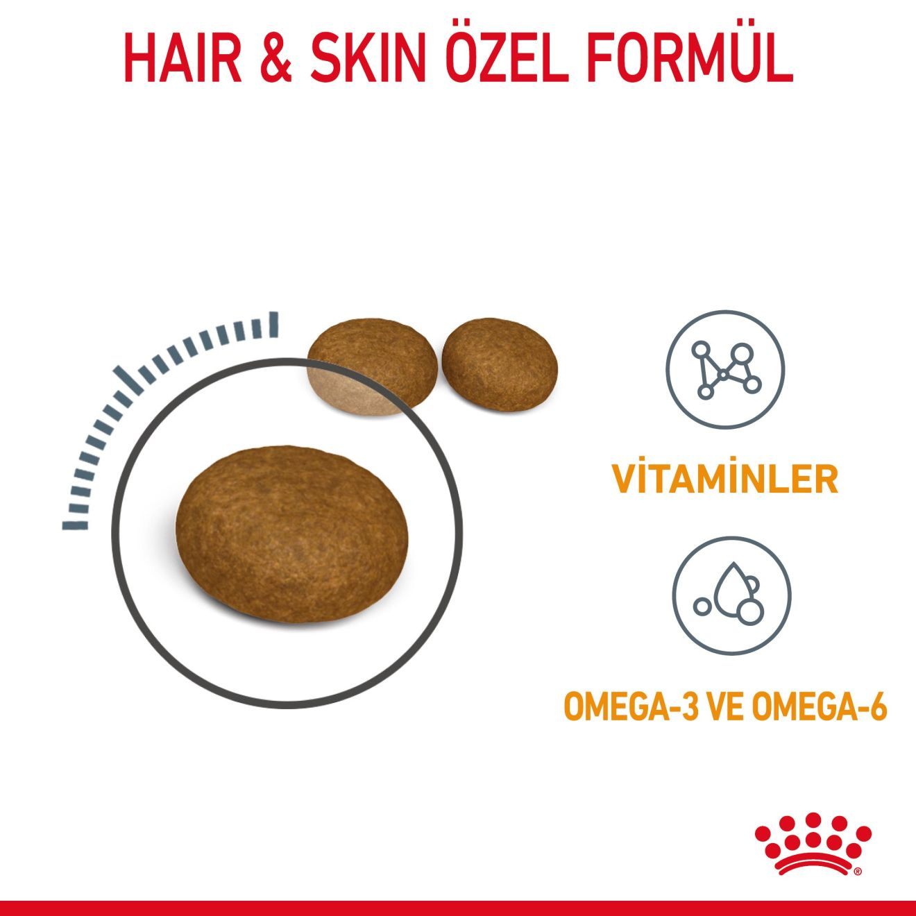 Hair&Skin Care