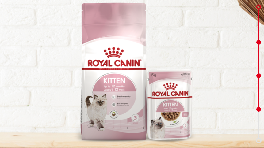 Croquettes et pâtés pour chaton Starter mother & Babycat Royal Canin