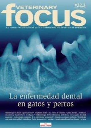 La enfermedad dental en gatos y perros