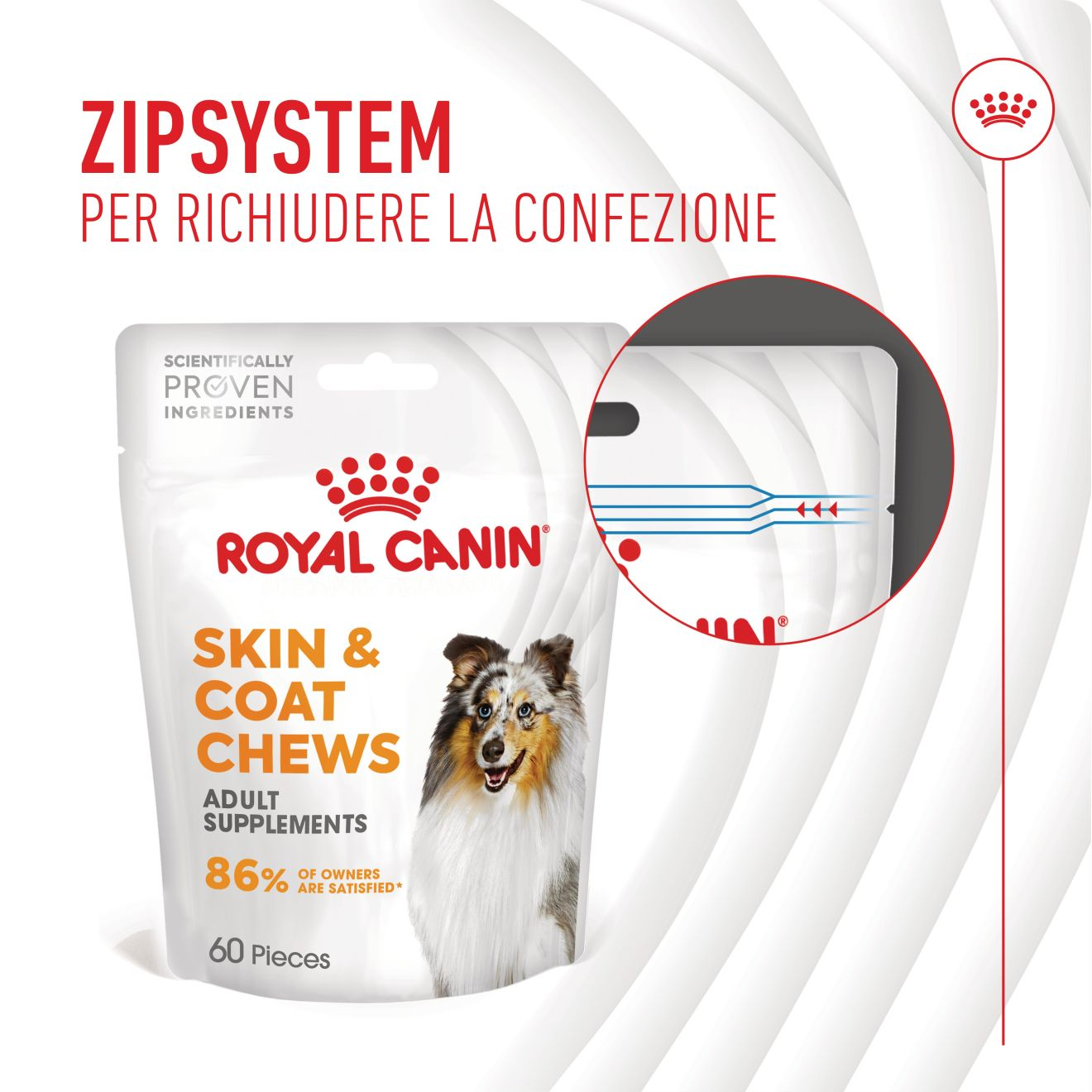 Supplement Skin & Coat chews