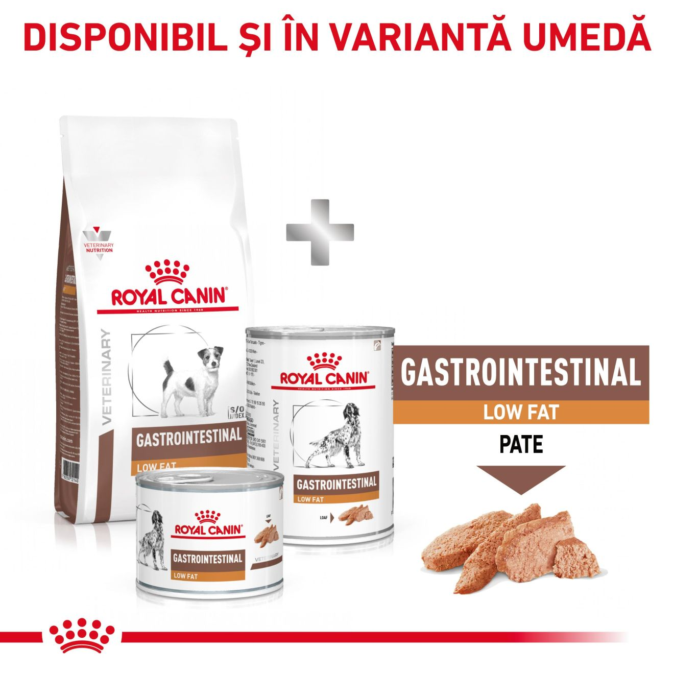 GASTROINTESTINAL LOW FAT SMALL DOG