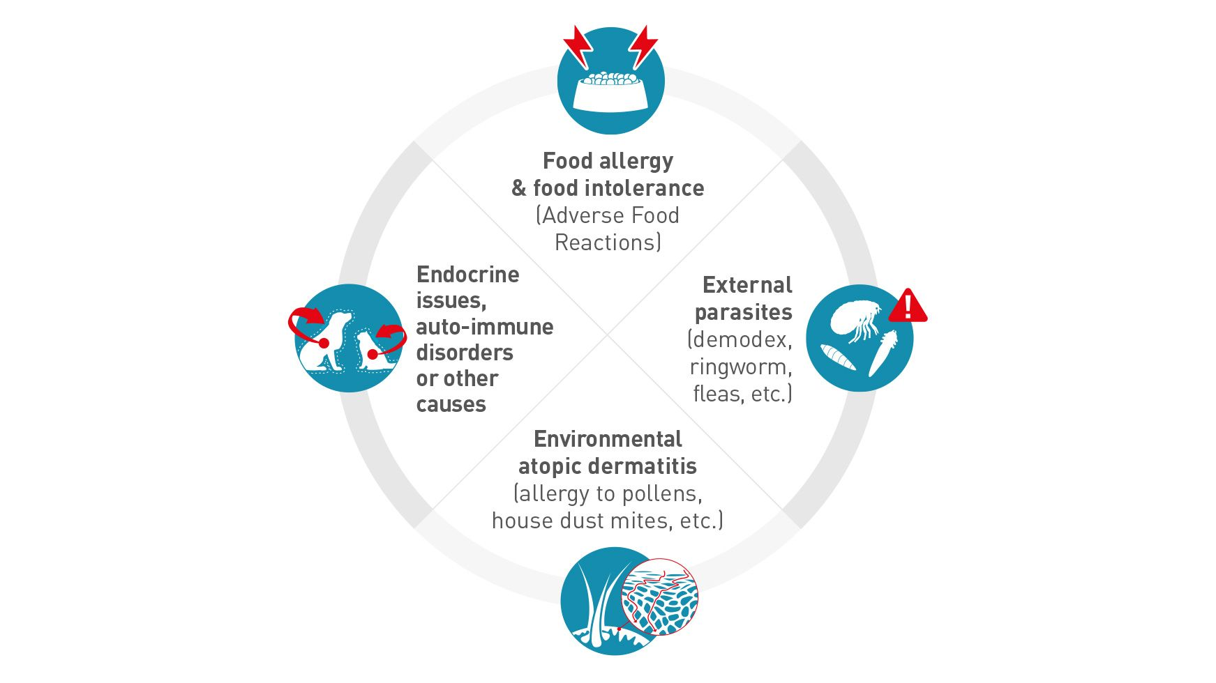 Royal canin 2024 skin allergy food