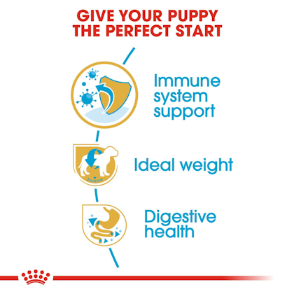 BHN-PuppySchnauzer-CV-EretailKit-3