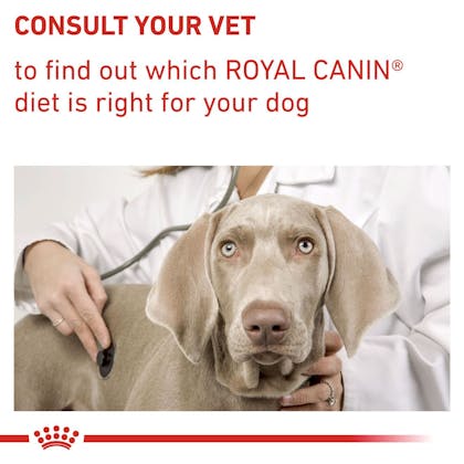 RC-VET-DRY-DogNeutAD-B1_Page_9