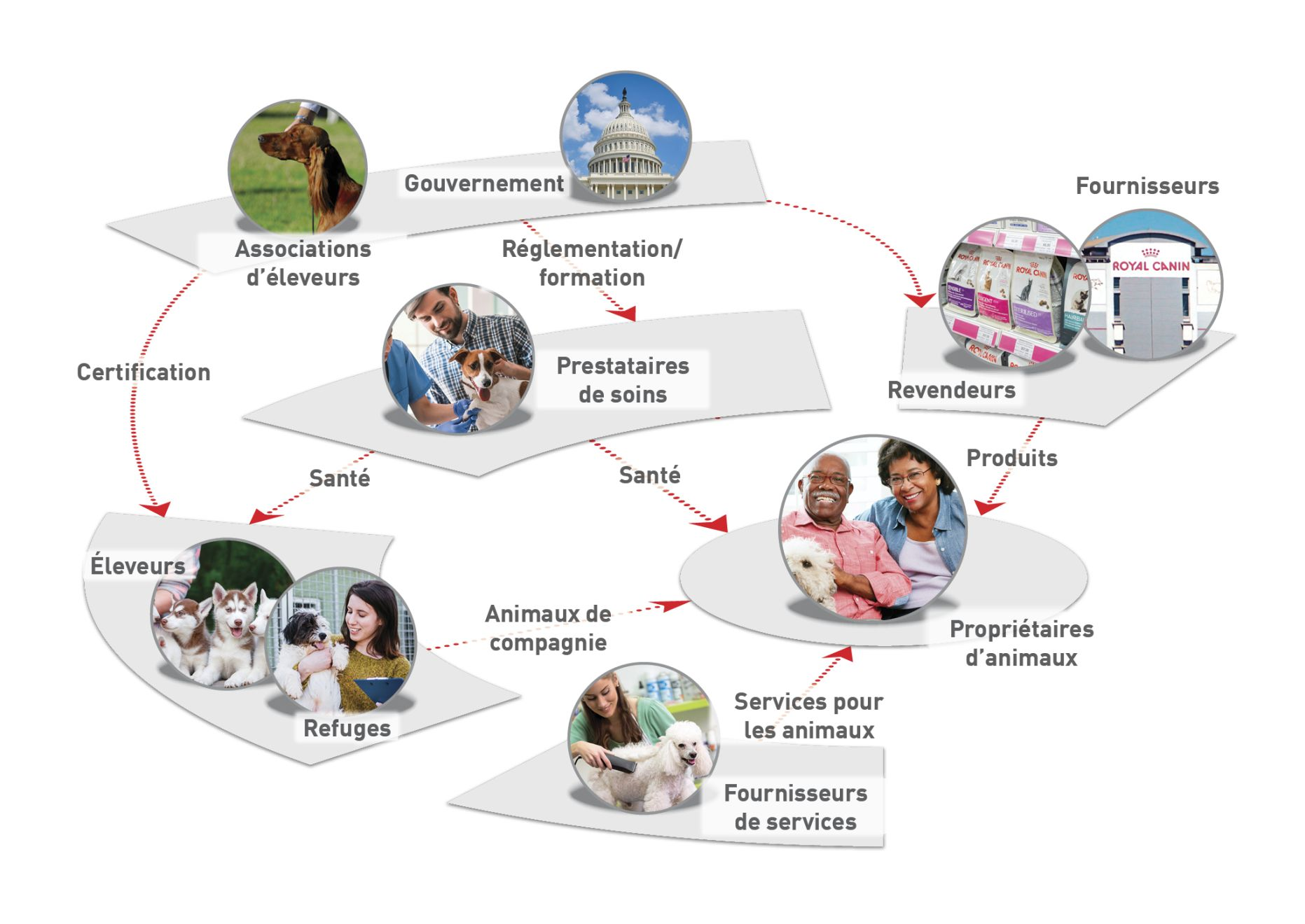 Les différents intervenants en contact avec les propriétaires d’animaux de compagnie