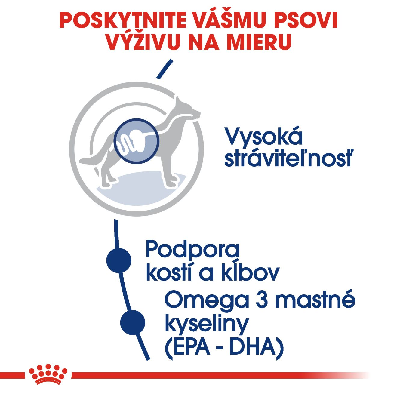 ROYAL CANIN Maxi Adult granule pre dospelých psov veľkých plemien