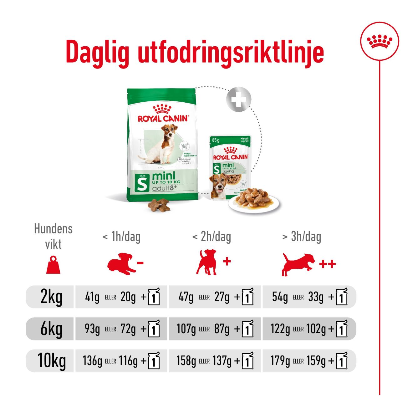 Mini Adult 8+
