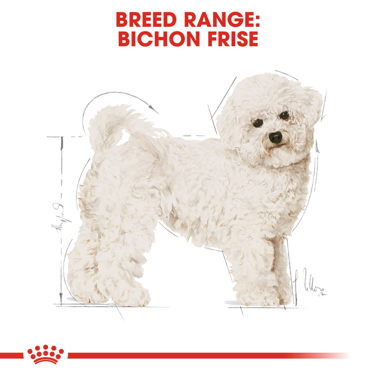 Best dog food for bichon frise puppy best sale