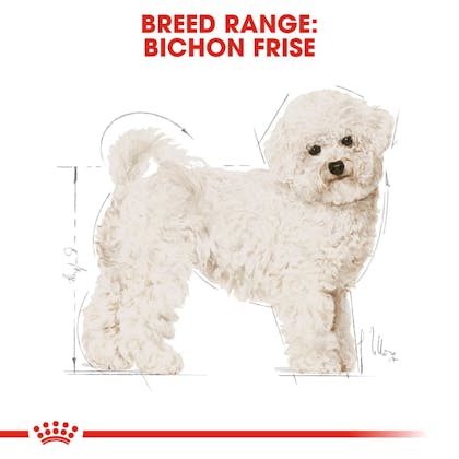 BHN-BichonFrise-CV-Eretailkit-1