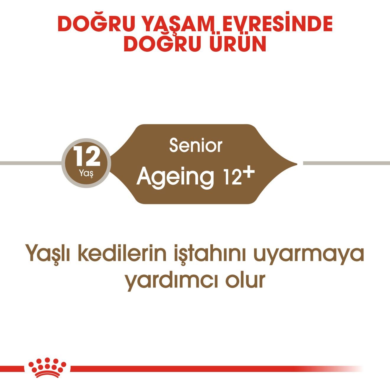 Ageing 12+
