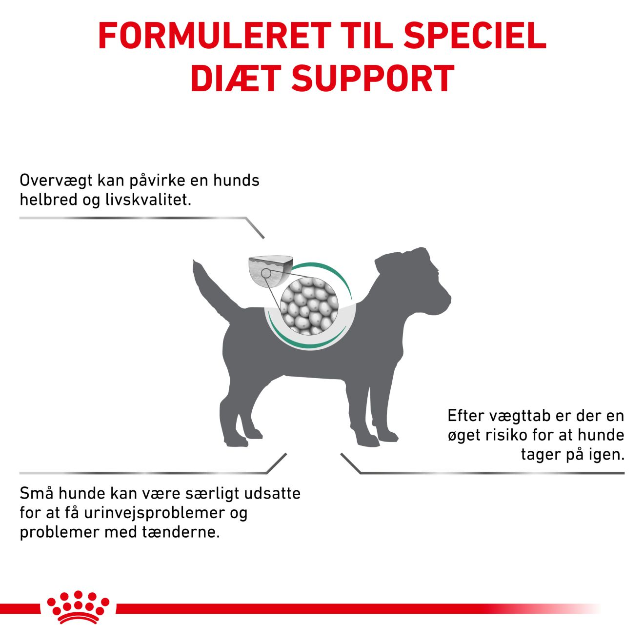 Weight Management Satiety Small Dog