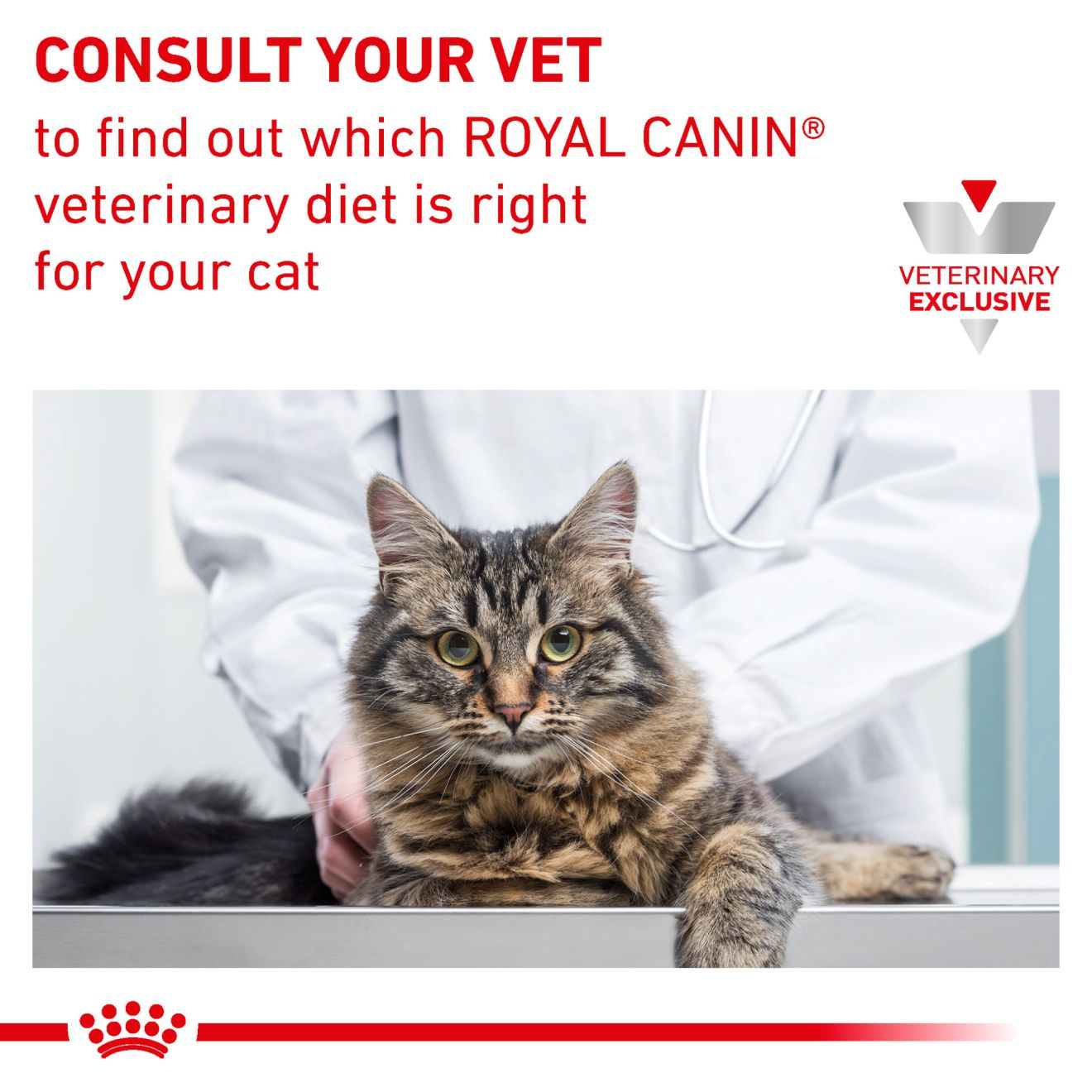 Royal Canin Veterinary Diets Félin urinaire sac 100gr.