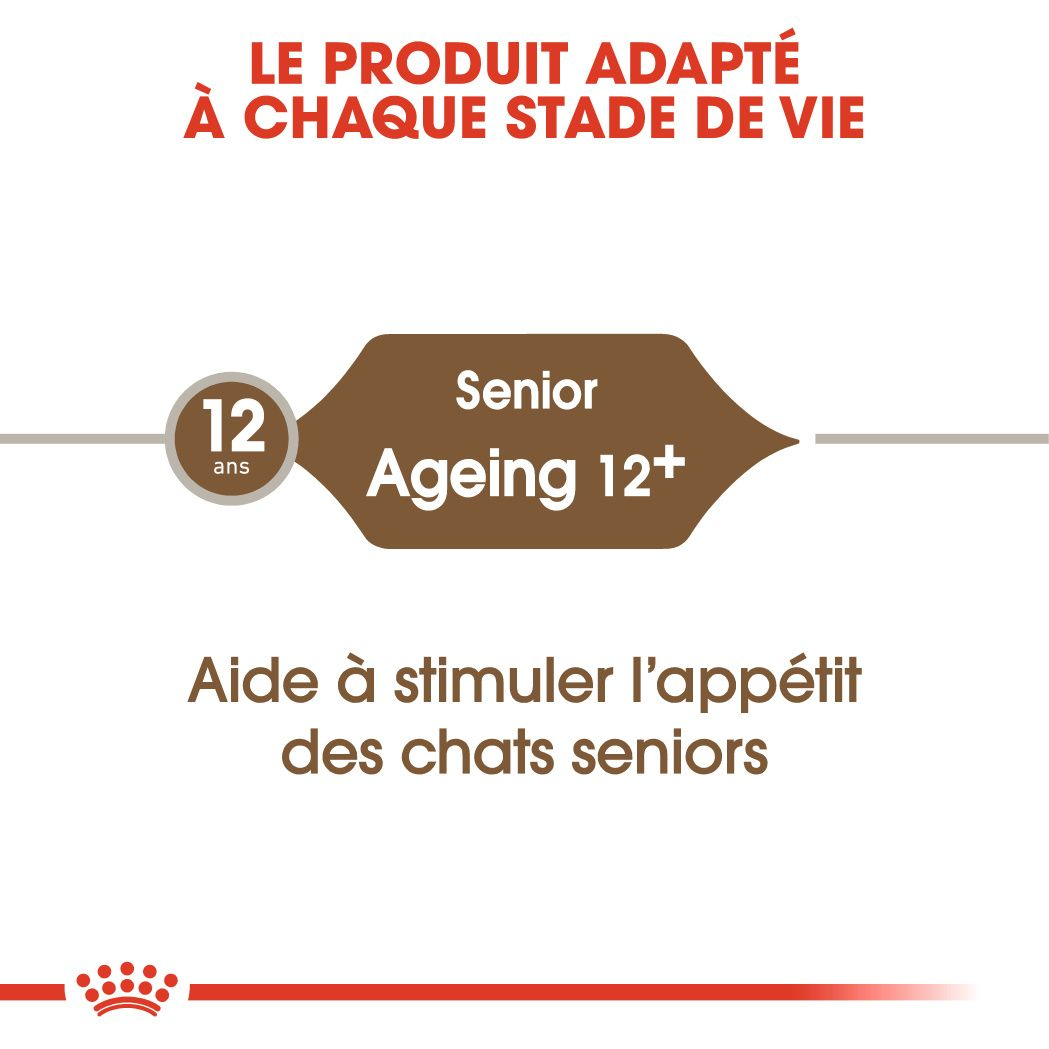 Ageing 12+