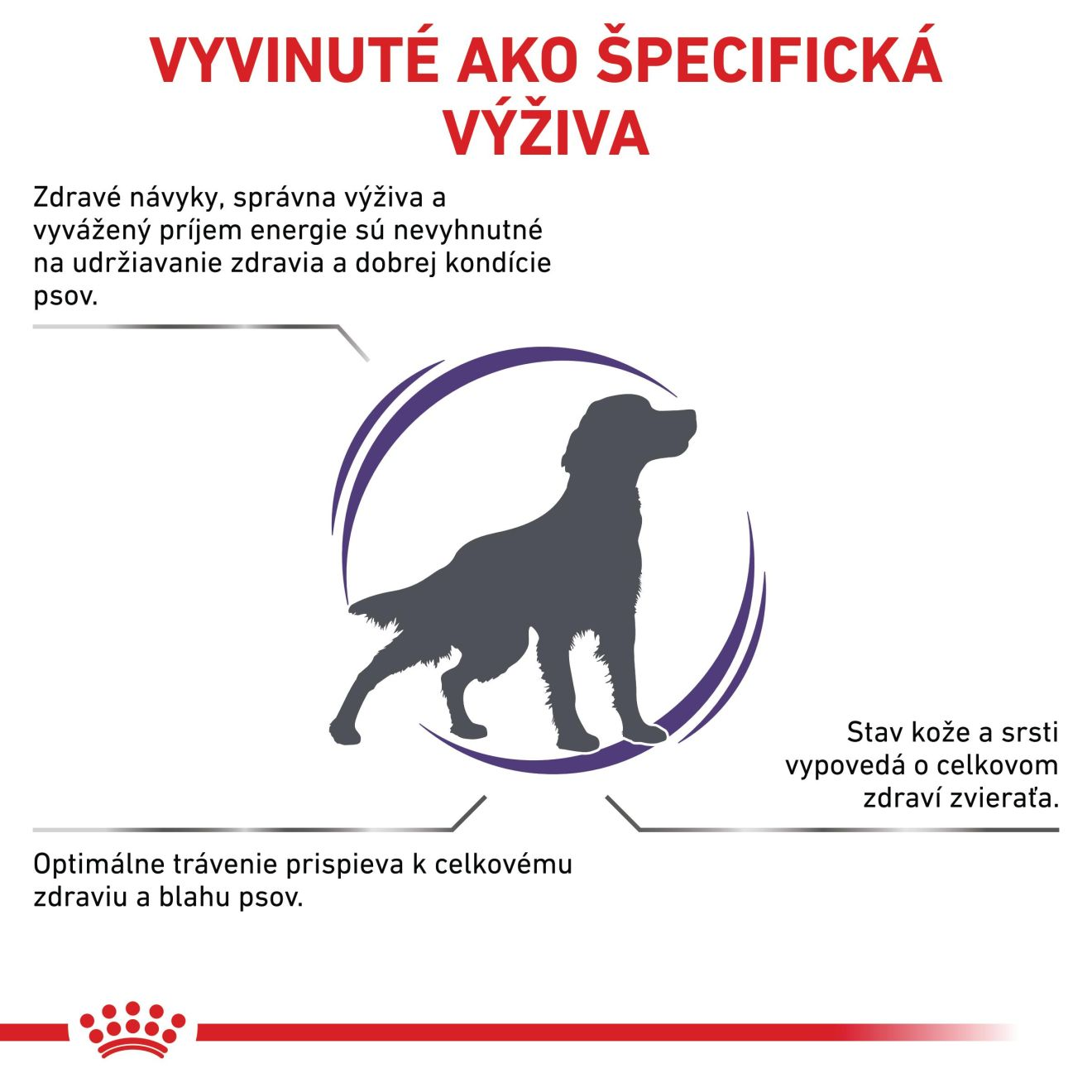 VHN Adult medium dog